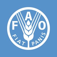 National Project Coordinator (NPC)